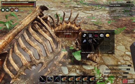 A delicacy out of Darfar. . Conan exiles weathered skull